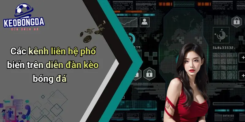 Liên hệ 2 Liên Hệ