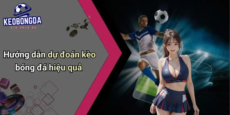 Dự Đoán 3 Dự Đoán