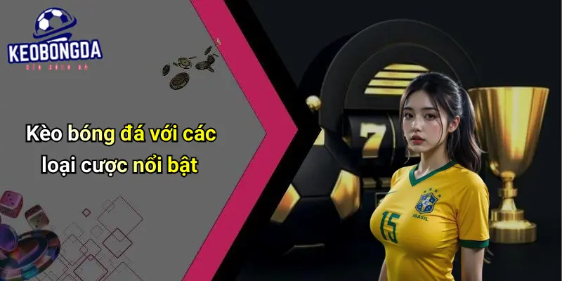 giới thiệu 4 Giới Thiệu