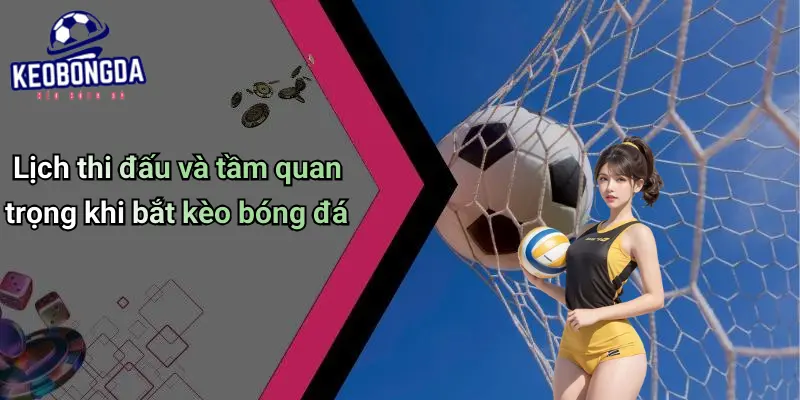 Lịch thi đấu 23 Lịch Thi Đấu