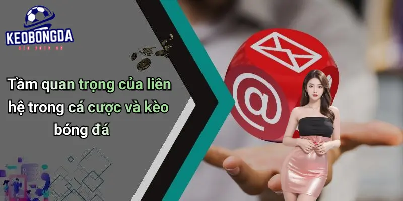 Liên hệ 1 Liên Hệ