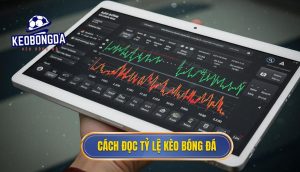 Cách đọc tỷ lệ kèo bóng đá