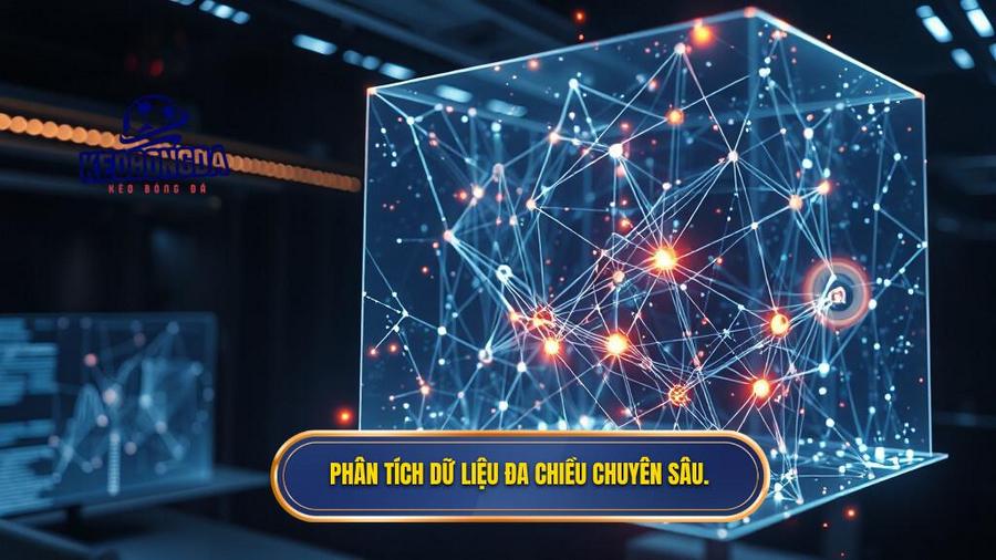 Phân tích dữ liệu đa chiều chuyên sâu.