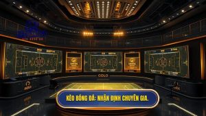 nhận định bóng đá chuyên gia