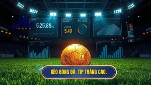 tip bóng đá thắng cao