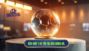 Kèo hiệp 1 thường “dễ ăn” hơn hiệp 2? Bí mật từ KÈO BÓNG ĐÁ Giải đáp thắc mắc Kèo hiệp 1 thường “dễ ăn” hơn hiệp 2? Phân tích chuyên sâu từ KÈO BÓNG ĐÁ giúp bạn tối ưu hóa lợi nhuận và chiến thuật soi kèo hiệu quả nhất.