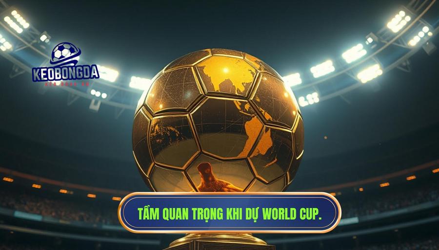Đội tuyển nữ Việt Nam dự World Cup năm nào? Hành trình vươn tầm thế giới 3 Phân tích đa chiều: Tại sao việc dự World Cup lại quan trọng đến thế?