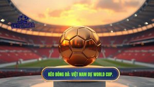 Việt Nam có cơ hội dự World Cup không